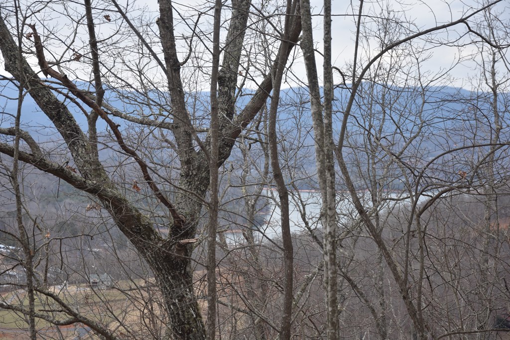 Lot 59 Highland Trace #59, HAYESVILLE, North Carolina image 12