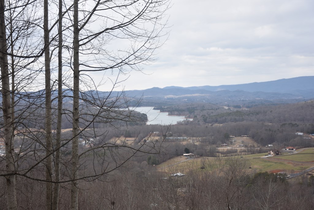 Lot 59 Highland Trace #59, HAYESVILLE, North Carolina image 16