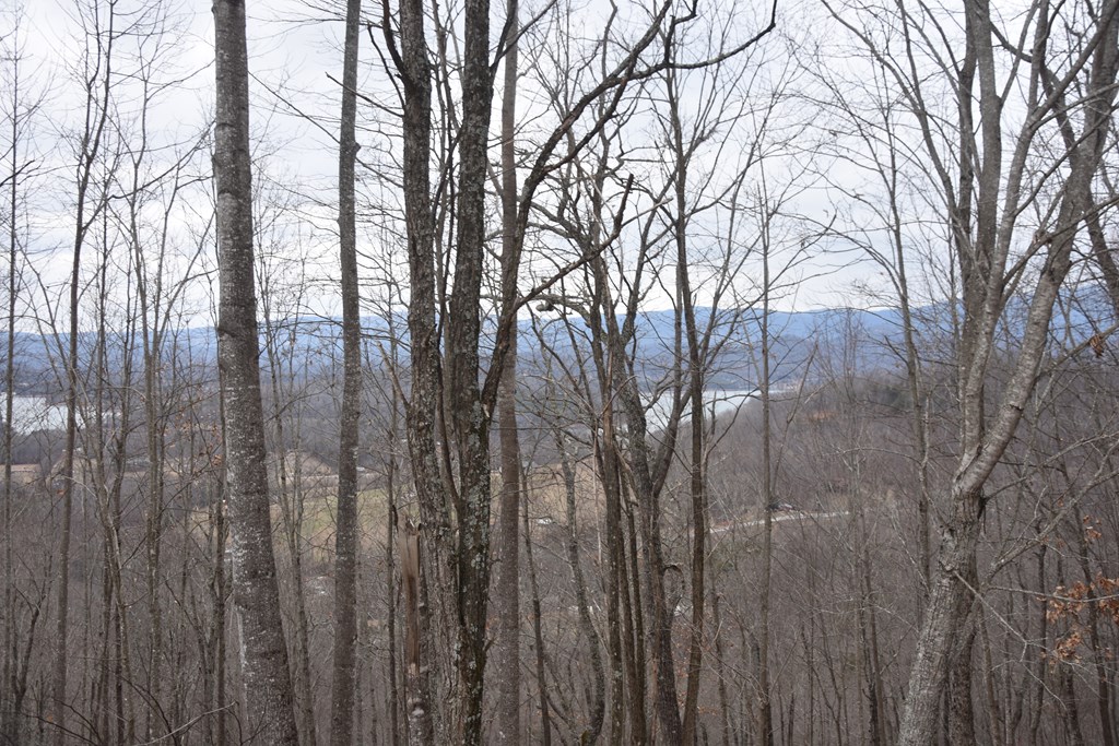 Lot 59 Highland Trace #59, HAYESVILLE, North Carolina image 18
