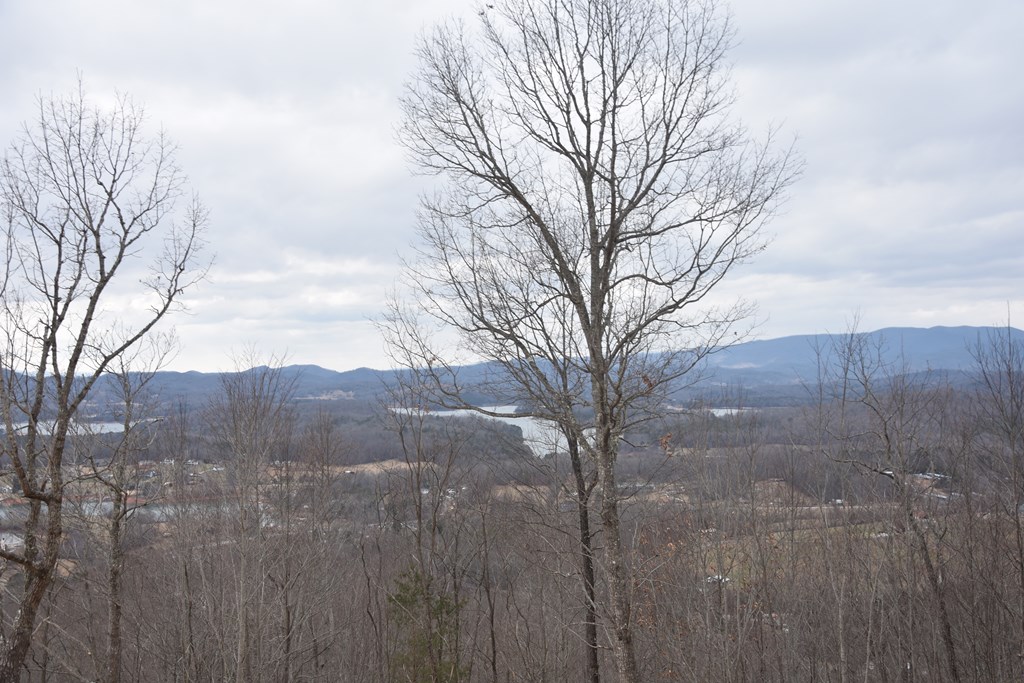 Lot 59 Highland Trace #59, HAYESVILLE, North Carolina image 8