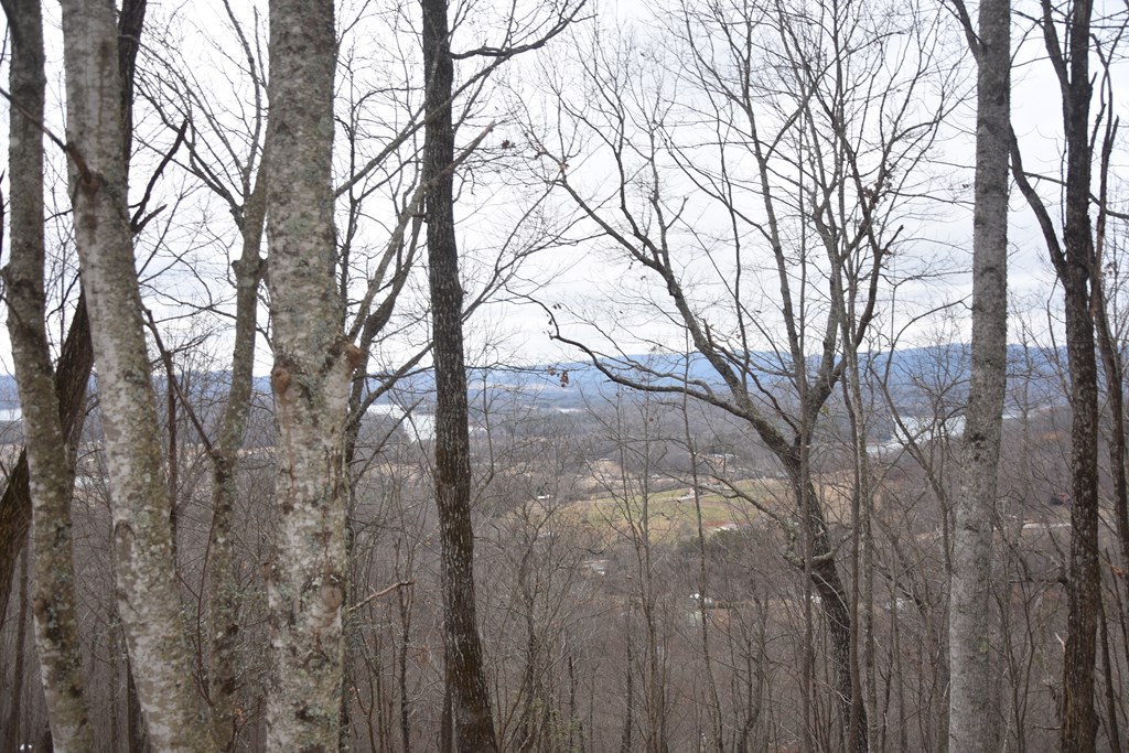 Lot 59 Highland Trace #59, HAYESVILLE, North Carolina image 20