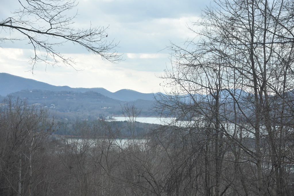 Lot 59 Highland Trace #59, HAYESVILLE, North Carolina image 9