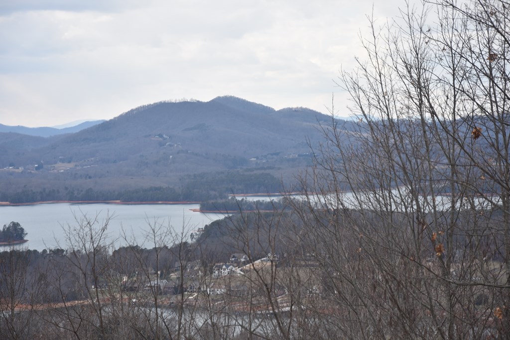 Lot 59 Highland Trace #59, HAYESVILLE, North Carolina image 6