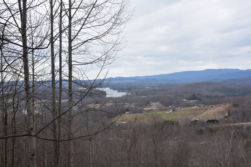 Lot 59 Highland Trace #59, HAYESVILLE, North Carolina image 15