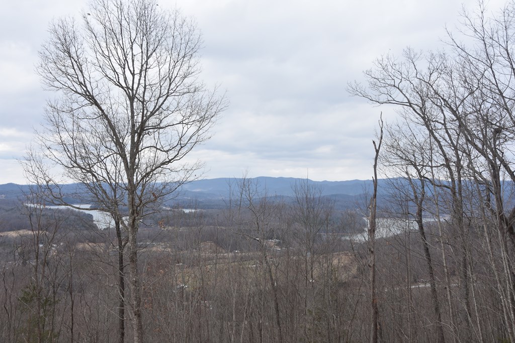 Lot 59 Highland Trace #59, HAYESVILLE, North Carolina image 13
