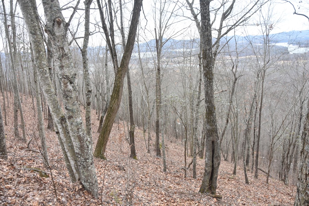 Lot 59 Highland Trace #59, HAYESVILLE, North Carolina image 25