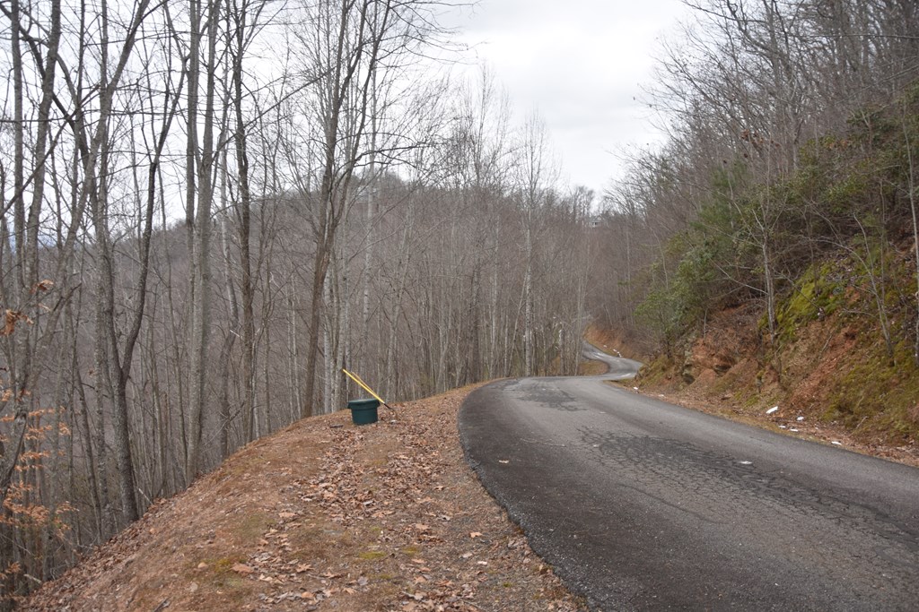 Lot 59 Highland Trace #59, HAYESVILLE, North Carolina image 28