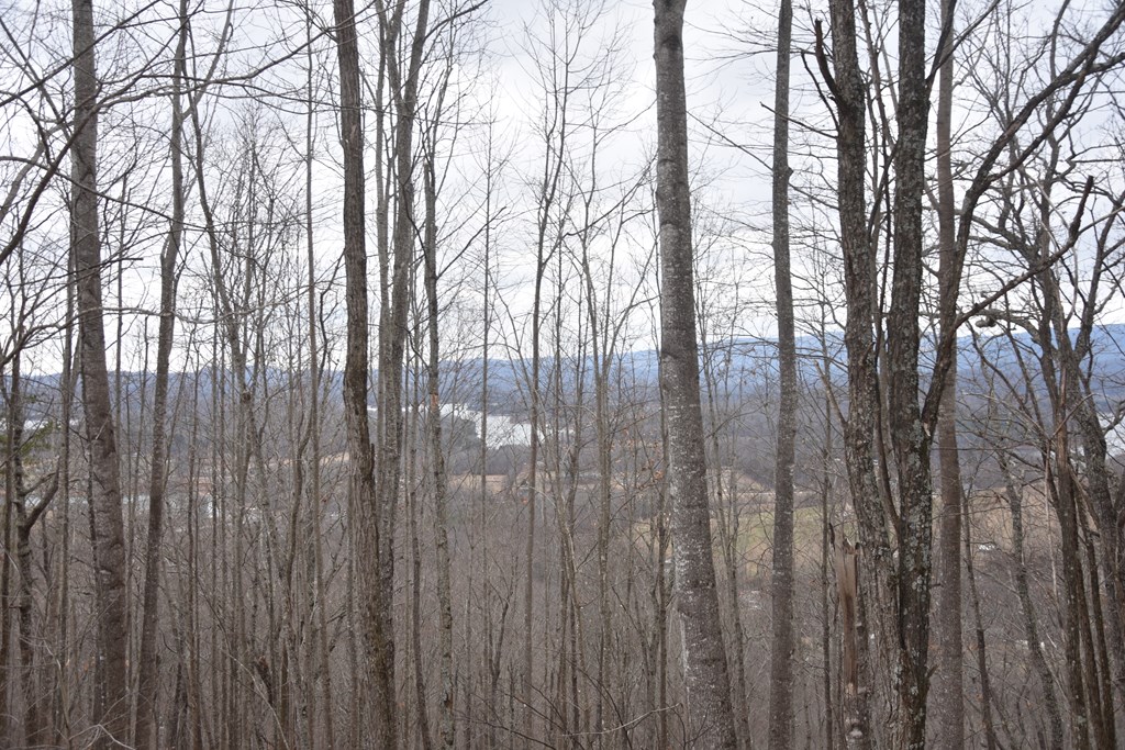 Lot 59 Highland Trace #59, HAYESVILLE, North Carolina image 19