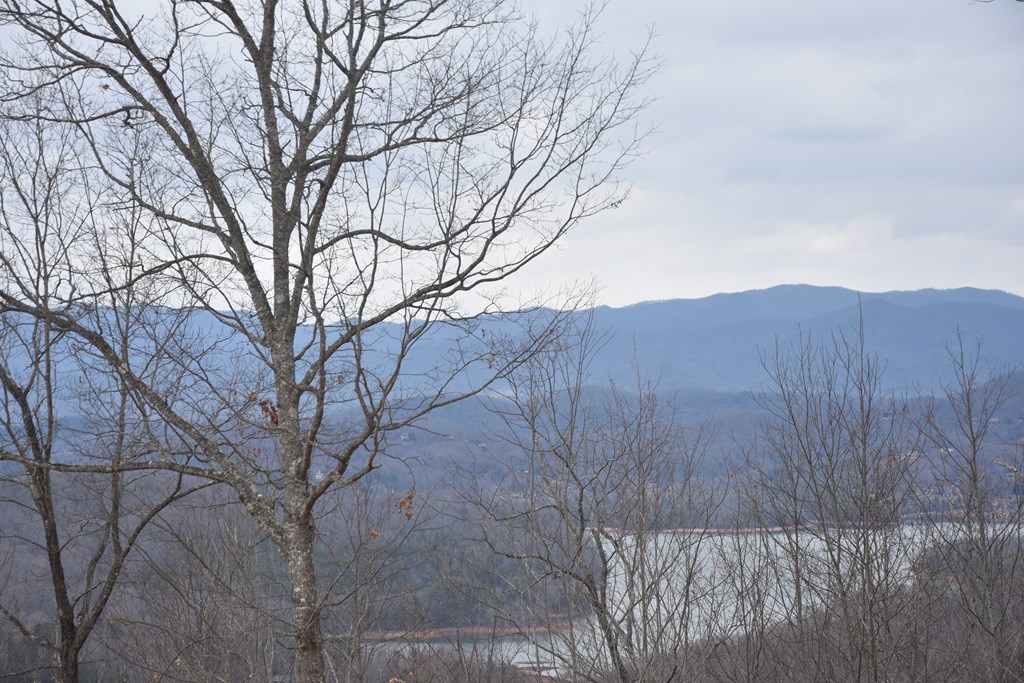 Lot 59 Highland Trace #59, HAYESVILLE, North Carolina image 7