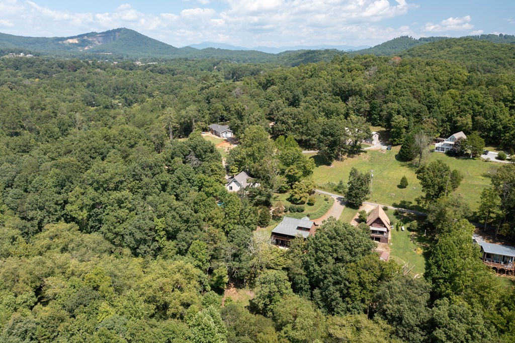 1739 Settlement Road, YOUNG HARRIS, Georgia image 43