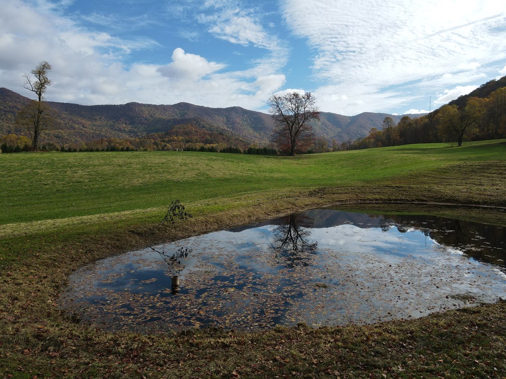 31.09 AC Hwy 64 East, HAYESVILLE, North Carolina image 21