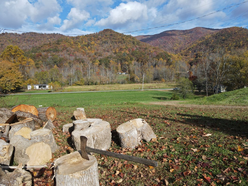 31.09 AC Hwy 64 East, HAYESVILLE, North Carolina image 8