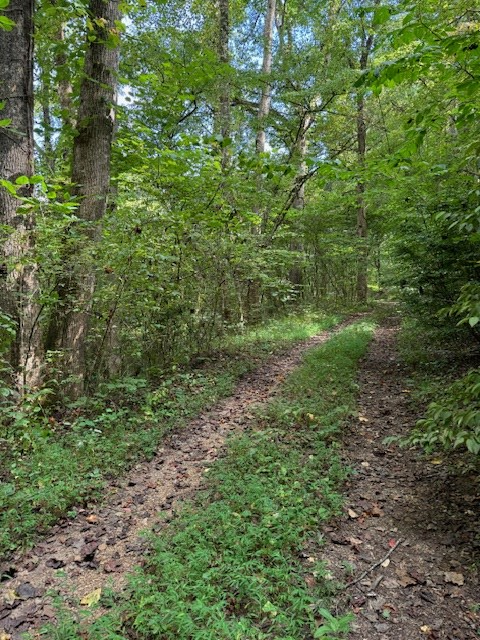 00 Fairview Road, ANDREWS, North Carolina image 17