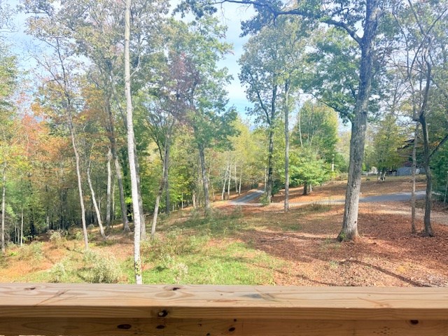 560 Carolina Fox Circle - Photo 4