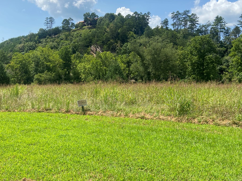 00 Harshaw Farm Drive #17, MURPHY, North Carolina image 3