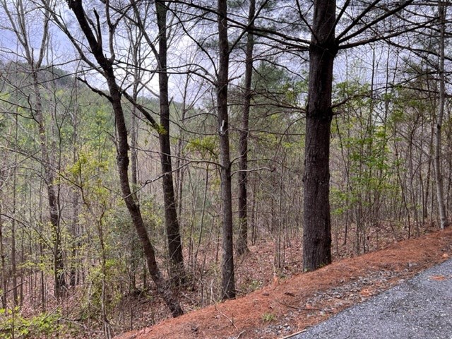 545558 Choctaw Ridge Trail #3LOTS, MURPHY, North Carolina image 3