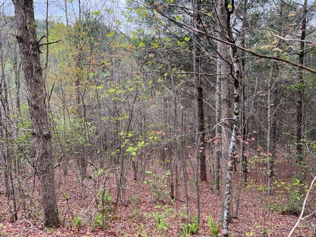 545558 Choctaw Ridge Trail #3LOTS, MURPHY, North Carolina image 7