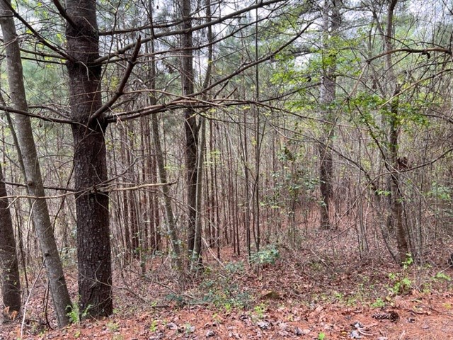 545558 Choctaw Ridge Trail #3LOTS, MURPHY, North Carolina image 4