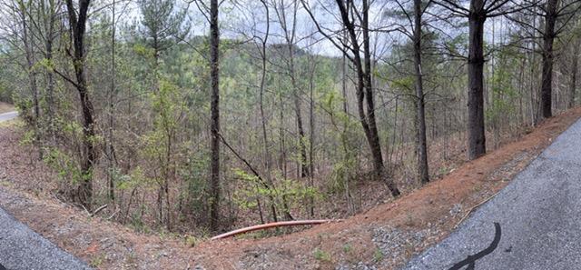 545558 Choctaw Ridge Trail #3LOTS, MURPHY, North Carolina image 2