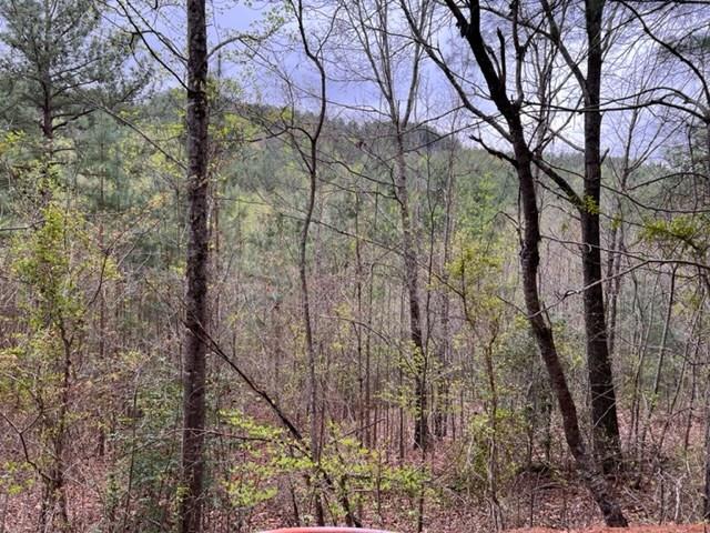 545558 Choctaw Ridge Trail #3LOTS, MURPHY, North Carolina image 1