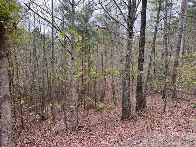 545558 Choctaw Ridge Trail #3LOTS, MURPHY, North Carolina image 5