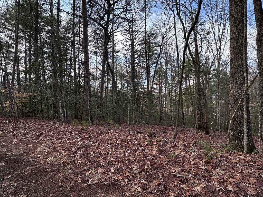 Lot 27 Appalachian Estates, MURPHY, North Carolina image 3