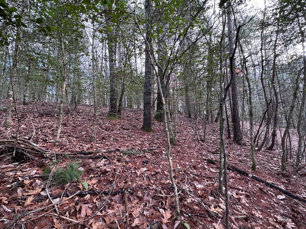 Lot 27 Appalachian Estates, MURPHY, North Carolina image 1