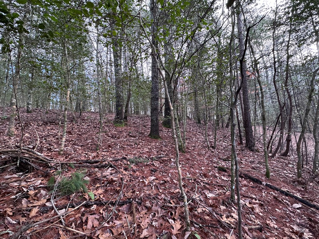 Lot 27 Appalachian Estates, MURPHY, North Carolina image 4