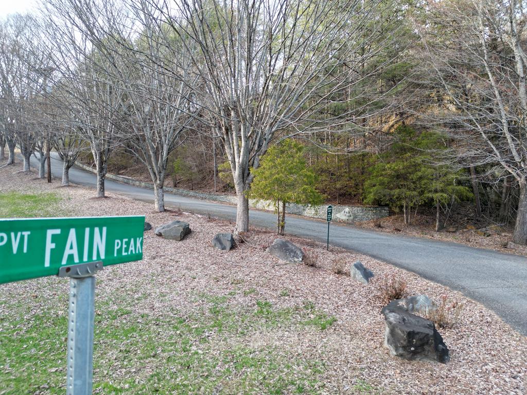 15.75 Fain Peak, MURPHY, North Carolina image 7