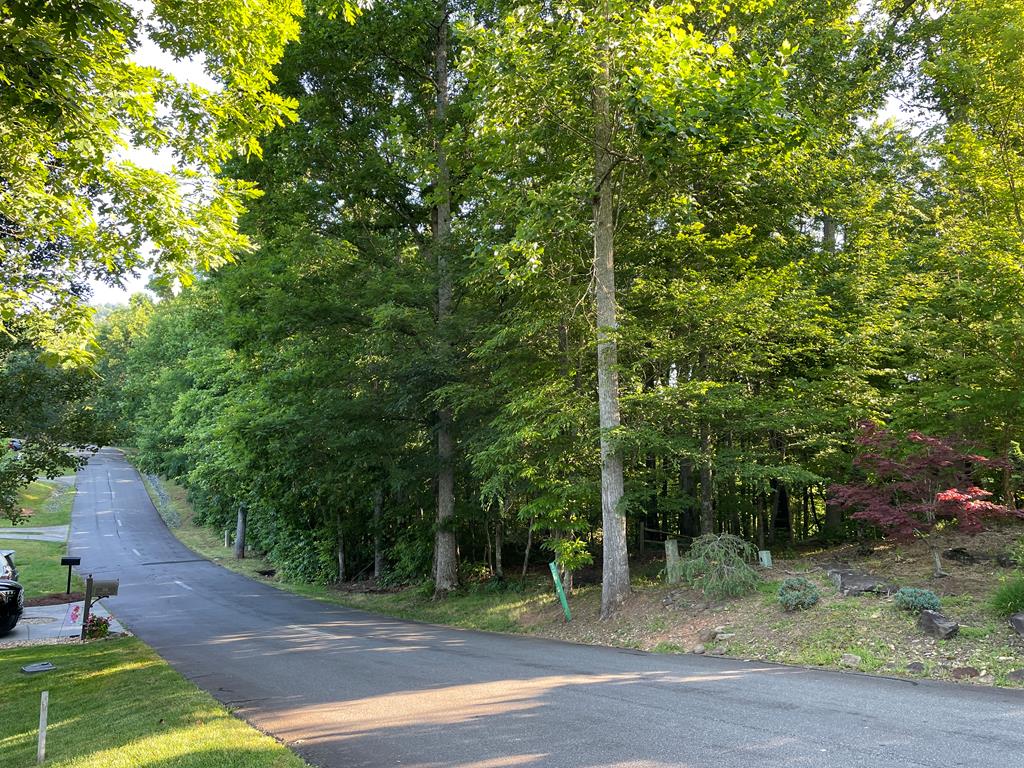 81A-82A Licklog Ridge #81-82, HAYESVILLE, North Carolina image 1