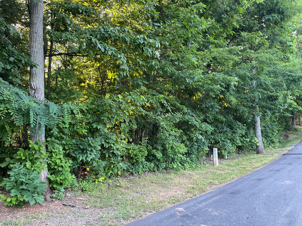 81A-82A Licklog Ridge #81-82, HAYESVILLE, North Carolina image 2