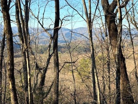 Vacant Land For Sale - 7.0 AC Laurel Drive #77<br/> MARBLE, NC 28905