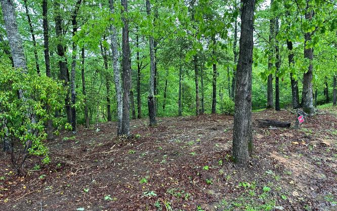 LOT 7 Brasstown Trails #7, WARNE, North Carolina image 2