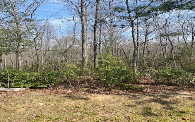 LOT 7 Brasstown Trails #7, WARNE, North Carolina image 4