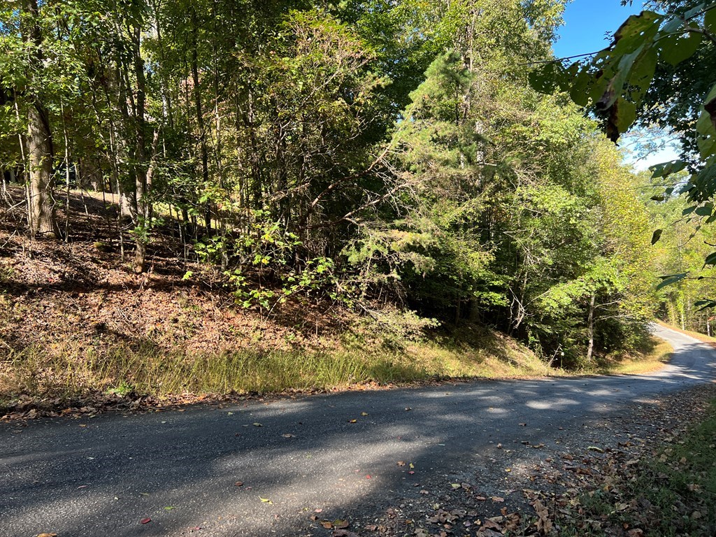 Lot 23 Tahlequah Ridge #23, HAYESVILLE, North Carolina image 18