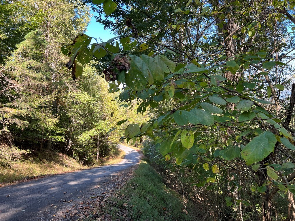 Lot 23 Tahlequah Ridge #23, HAYESVILLE, North Carolina image 19