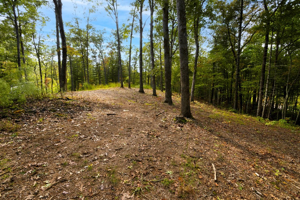 000 Nature Valley Trail #17, MURPHY, North Carolina image 8