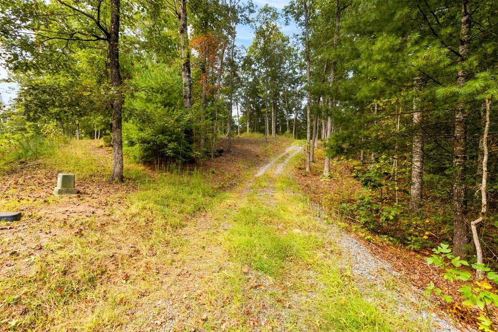 000 Nature Valley Trail #17, MURPHY, North Carolina image 1