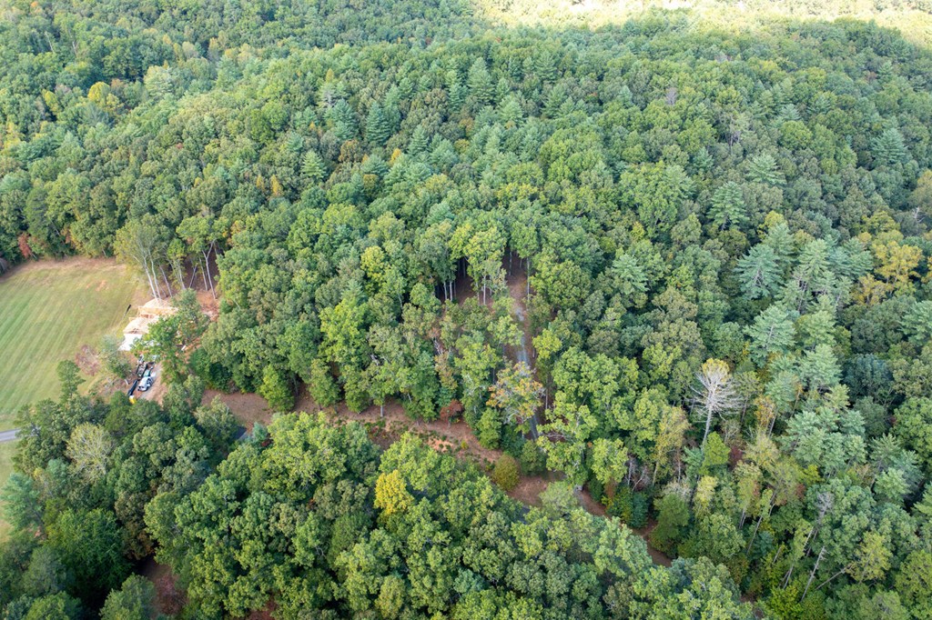 000 Nature Valley Trail #17, MURPHY, North Carolina image 11