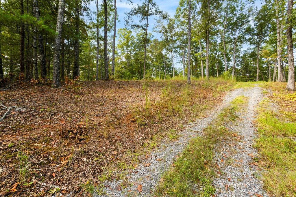 000 Nature Valley Trail #17, MURPHY, North Carolina image 5