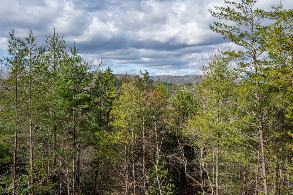 259 River Mountain Rd, MURPHY, North Carolina image 9
