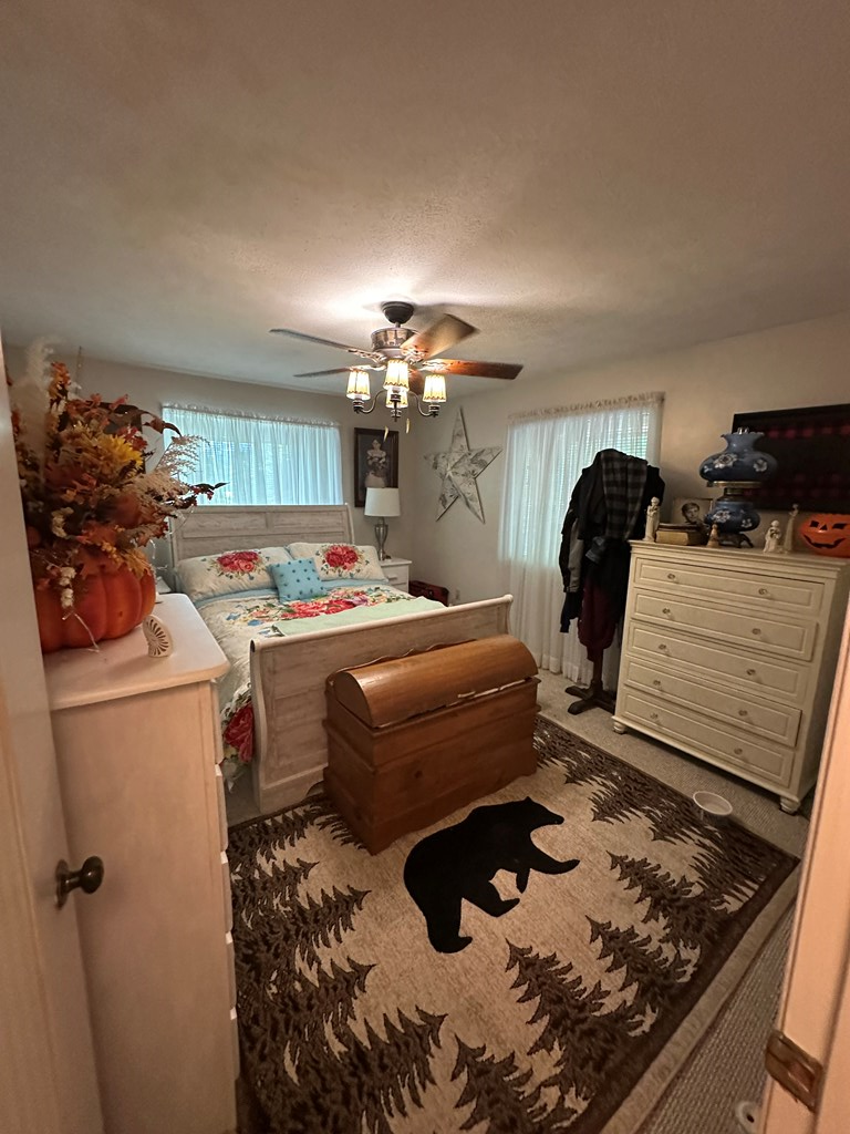 10 Whippoorwill Lane, MURPHY, Texas image 22