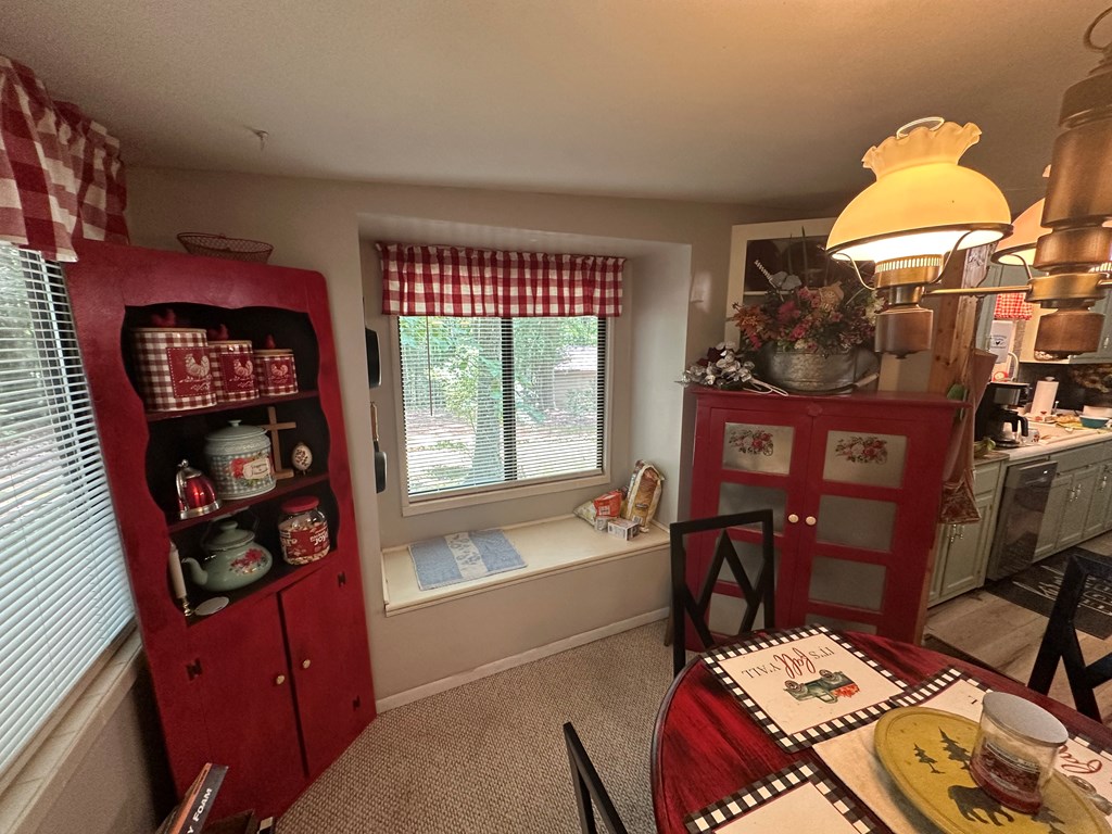 10 Whippoorwill Lane, MURPHY, Texas image 19