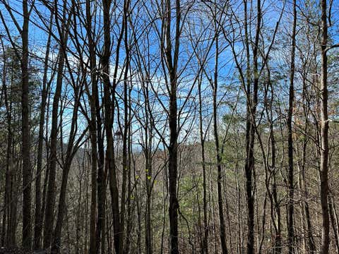 Vacant Land For Sale - 5 LOTS Ali Drive #5 LOT<br/> HAYESVILLE, NC 28904