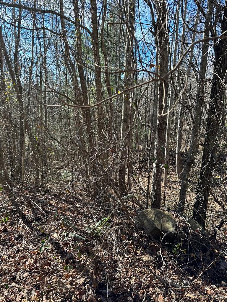 5 Lots Ali Drive #5 LOT, HAYESVILLE, North Carolina image 3