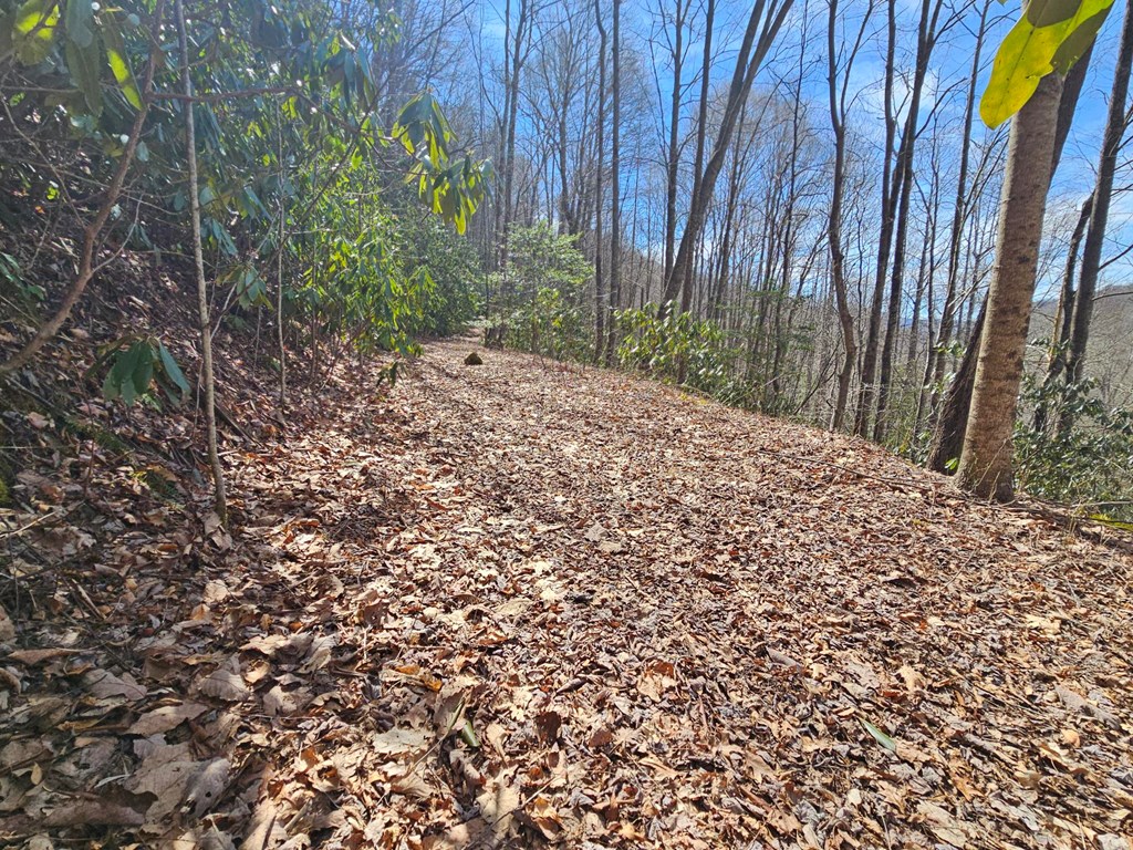 16 Warrior Way #16, ANDREWS, North Carolina image 8