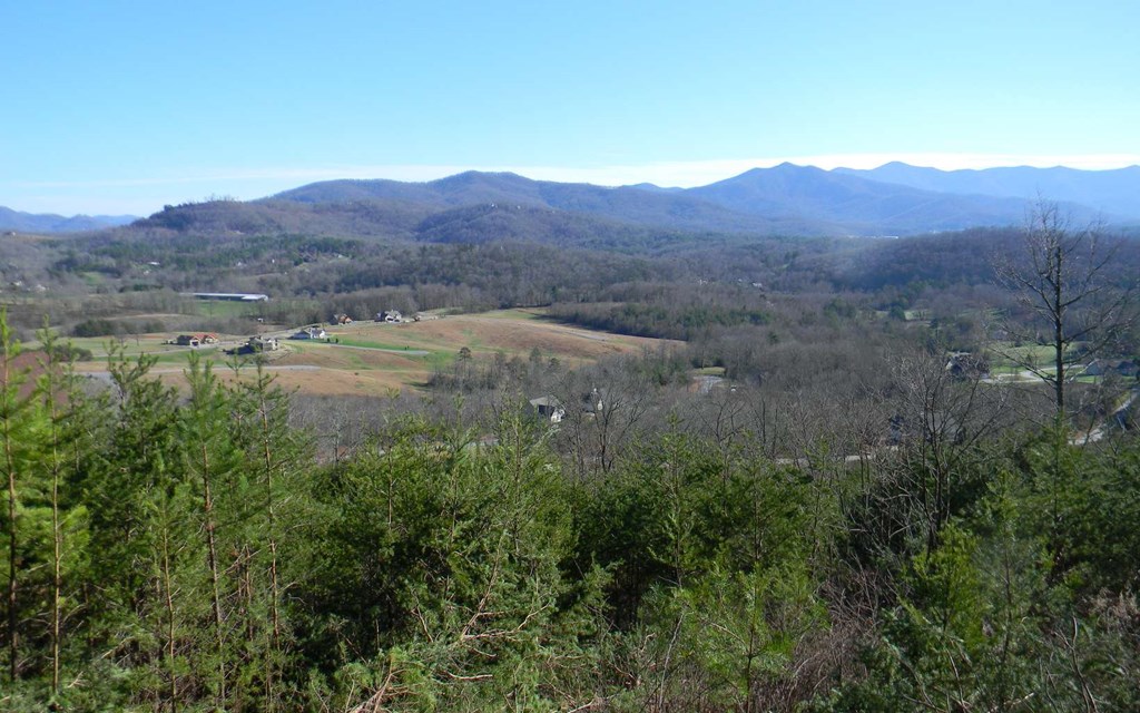 Lt 27 Standing Meadows #27, YOUNG HARRIS, Georgia image 6