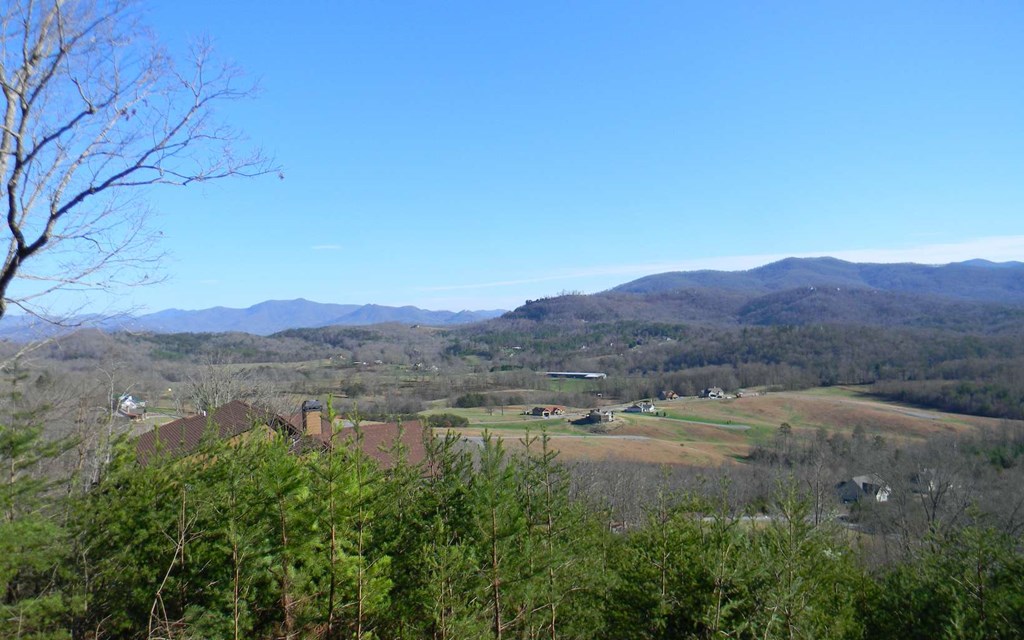 Lt 27 Standing Meadows #27, YOUNG HARRIS, Georgia image 3