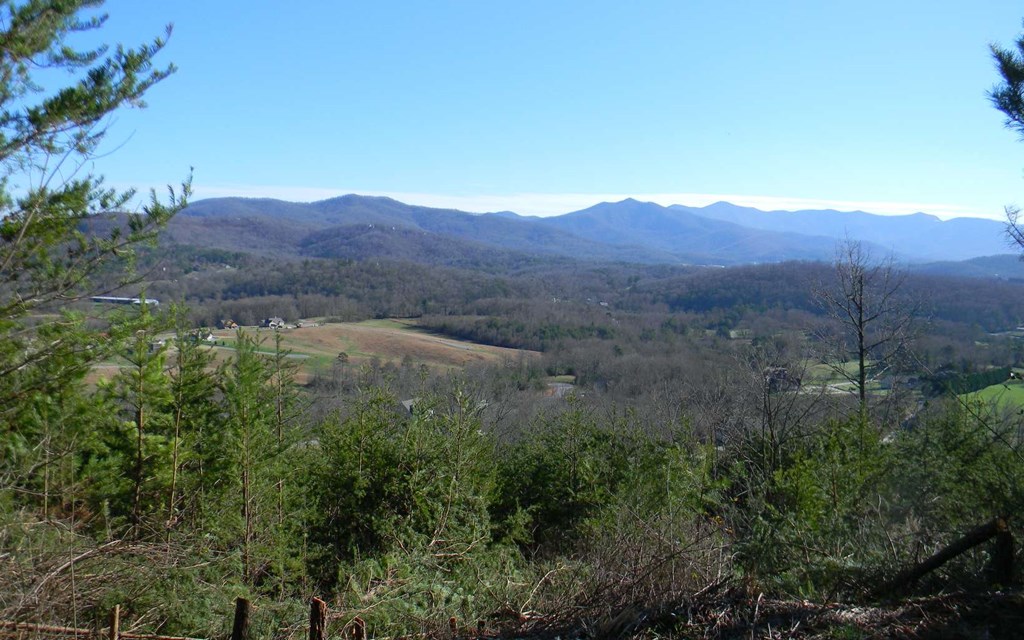 Lt 27 Standing Meadows #27, YOUNG HARRIS, Georgia image 7