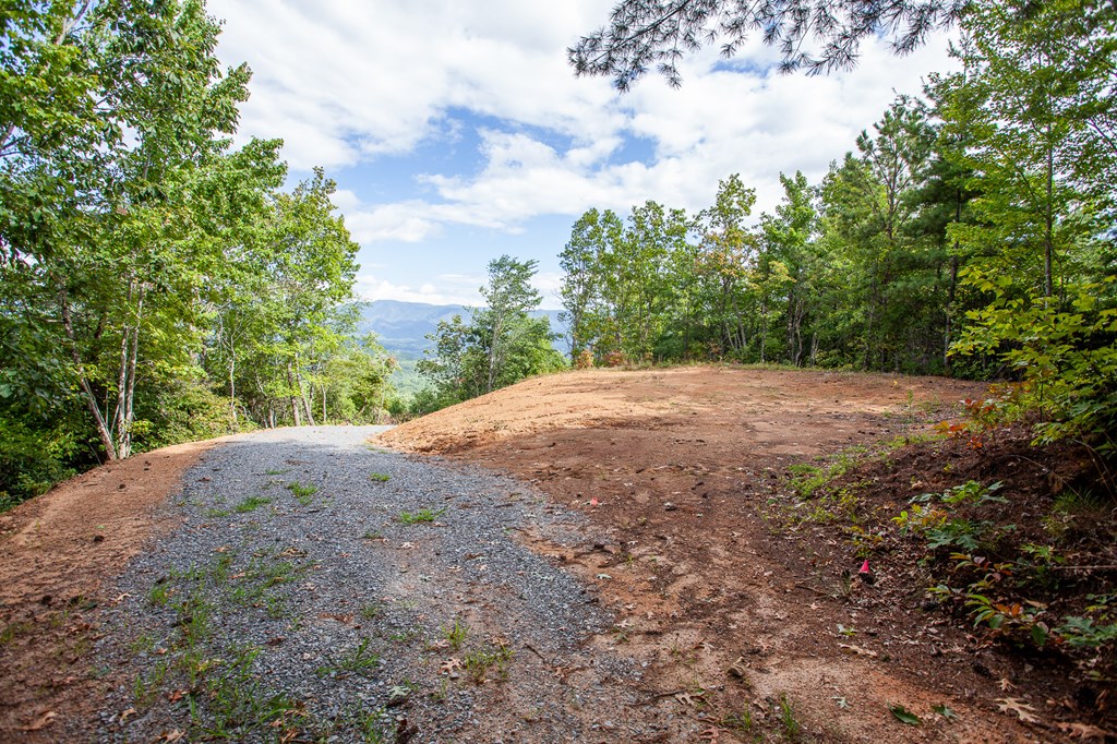 00 Cliff Top Trail, ANDREWS, North Carolina image 18